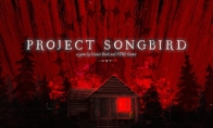 心理恐怖游戏《Project Songb