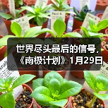 世界尽头最后的信号，《南极计划》1月29日正式发售（图1）