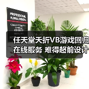 任天堂夭折VB游戏回归在线服务 难得超前设计惨遭失败（图4）