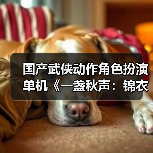 国产武侠动作角色扮演单机《一盏秋声：锦衣卫》发布预告（图4）