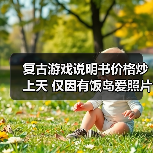 复古游戏说明书价格炒上天 仅因有饭岛爱照片与寄语（图3）