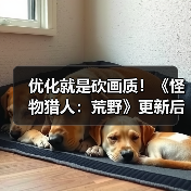 优化就是砍画质！《怪物猎人：荒野》更新后4K变1K负优化（图4）