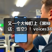 又一个大神盯上《黑神话：悟空》！voic