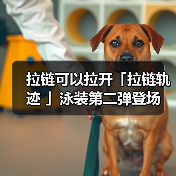 拉链可以拉开「拉链轨迹 」泳装第二弹登场 最多免费100 抽(图4) 拉链可以拉开「拉链轨迹 」泳装第二弹登场 最多免费100 抽(图4)