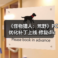 《怪物猎人：荒野》PC优化补丁上线 修复