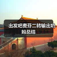 出发吧麦芬二转输出奶妈总结（图3）