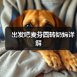 出发吧麦芬四转奶妈详解(图4) 出发吧麦芬四转奶妈详解(图4)