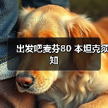 出发吧麦芬80 本坦克须知（图2）