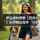 伊瑟虚烬探索【危机43】赫妍释放双手“挂机”阵容推荐（图2）