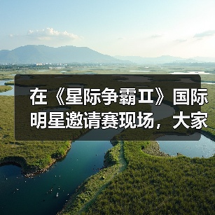在《星际争霸Ⅱ》国际明星邀请赛现场，大家