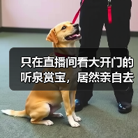 只在直播间看大开门的听泉赏宝，居然亲自去探墓摸金了？（图2）