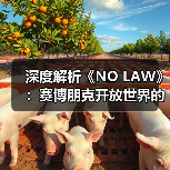 深度解析《NO LAW》：赛博朋克开放世界的叙事驱动与城市设计（图3）