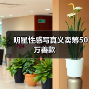 明星性感写真义卖筹50万善款