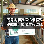 代号肉鸽复读机卡牌效果解析：镜像与复读机