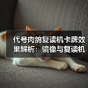 代号肉鸽复读机卡牌效果解析:镜像与复读机机制揭秘(图4) 代号肉鸽复读机卡牌效果解析:镜像与复读机机制揭秘(图4)