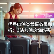 代号肉鸽炎武蛋效果解析:3法力值灼烧伤害如何?(图4) 代号肉鸽炎武蛋效果解析:3法力值灼烧伤害如何?(图4)