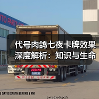 代号肉鸽七夜卡牌效果深度解析:知识与生命的博弈(图1) 代号肉鸽七夜卡牌效果深度解析:知识与生命的博弈(图1)