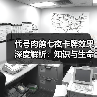 代号肉鸽七夜卡牌效果深度解析:知识与生命的博弈(图3) 代号肉鸽七夜卡牌效果深度解析:知识与生命的博弈(图3)