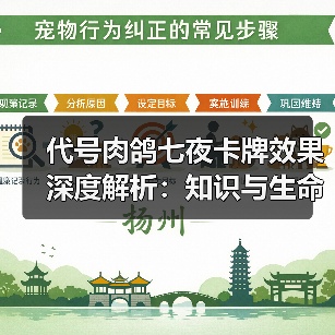 代号肉鸽七夜卡牌效果深度解析:知识与生命的博弈(图4) 代号肉鸽七夜卡牌效果深度解析:知识与生命的博弈(图4)