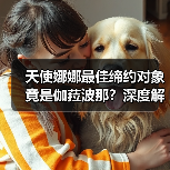 天使娜娜最佳缔约对象竟是伽菈波那？深度解