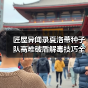 匠屋异闻录夏洛蒂种子队高难破盾解毒技巧全