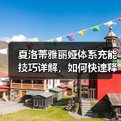 夏洛蒂雅丽娅体系充能技巧详解，如何快速释放大招？（图2）