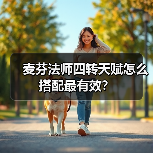 麦芬法师四转天赋怎么搭配最有效？（图4）