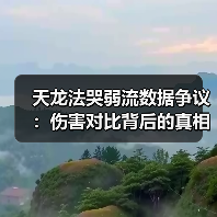 天龙法哭弱流数据争议：伤害对比背后的真相（图2）