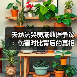 天龙法哭弱流数据争议：伤害对比背后的真相（图4）
