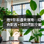 绝9草率通关指南:坦克配置+技能搭配全解析(图4) 绝9草率通关指南:坦克配置+技能搭配全解析(图4)