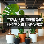 二转雷法奥速新星急速档位怎么选?核心伤害次数解析(图2) 二转雷法奥速新星急速档位怎么选?核心伤害次数解析(图2)