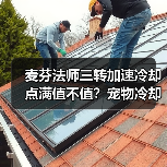 麦芬法师三转加速冷却点满值不值？宠物冷却搭配全解析（图2）