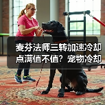麦芬法师三转加速冷却点满值不值？宠物冷却