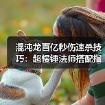 混沌龙百亿秒伤速杀技巧：超慢锤法师搭配指南（图2）