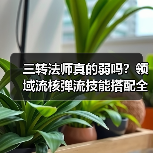三转法师真的弱吗?领域流核弹流技能搭配全解析(图2) 三转法师真的弱吗?领域流核弹流技能搭配全解析(图2)