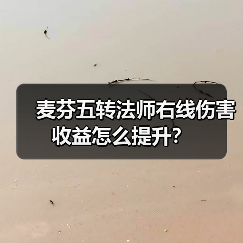 麦芬五转法师右线伤害收益怎么提升?(图4) 麦芬五转法师右线伤害收益怎么提升?(图4)