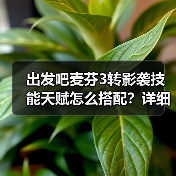 出发吧麦芬3转影袭技能天赋怎么搭配?详细攻略来了(图3) 出发吧麦芬3转影袭技能天赋怎么搭配?详细攻略来了(图3)