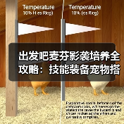 出发吧麦芬影袭培养全攻略：技能装备宠物搭