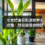 出发吧麦芬影袭培养全攻略:技能装备宠物搭配技巧(图4) 出发吧麦芬影袭培养全攻略:技能装备宠物搭配技巧(图4)