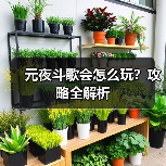 元夜斗歌会怎么玩？攻略全解析