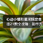 心动小镇引星河限定食谱21款全攻略：制作方法与隐藏食谱详解（图1）