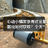 心动小镇发条青蛙金星瓢虫如何获取?全天气出没事件解锁攻略(图2) 心动小镇发条青蛙金星瓢虫如何获取?全天气出没事件解锁攻略(图2)
