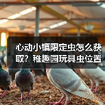 心动小镇限定虫怎么获取?稚趣园玩具虫位置全解析(图3) 心动小镇限定虫怎么获取?稚趣园玩具虫位置全解析(图3)