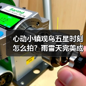 心动小镇观鸟五星时刻怎么拍?雨雪天完美成像技巧全解析(图2) 心动小镇观鸟五星时刻怎么拍?雨雪天完美成像技巧全解析(图2)