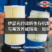 伊瑟光狩谛听生存机制与高效养成指南:如何全面应对PVP/PVE?(图3) 伊瑟光狩谛听生存机制与高效养成指南:如何全面应对PVP/PVE?(图3)