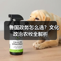 鲁国政务怎么选？文化政治农牧全解析