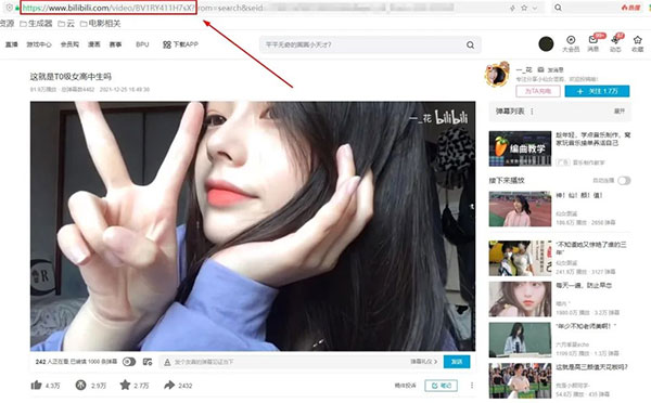 图片3