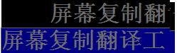屏幕复制翻译工具 1.0