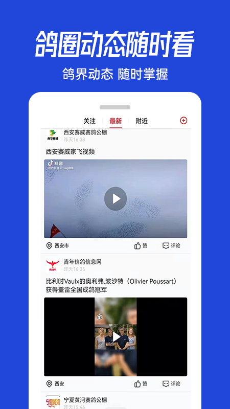 青鸽网 4.0.7 青鸽网 4.0.7